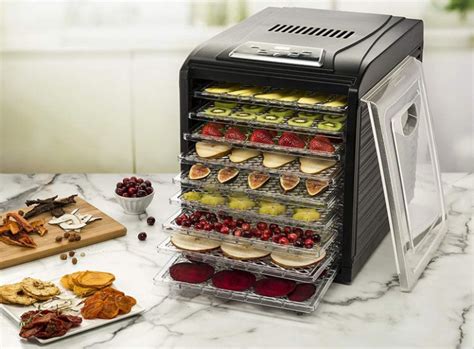 best dehydrator for jerky.